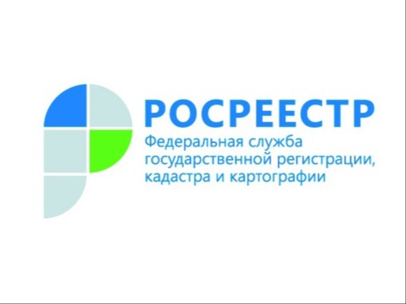 Самостоятельная проверка земельного участка: Росреестр помогает избежать нарушений.